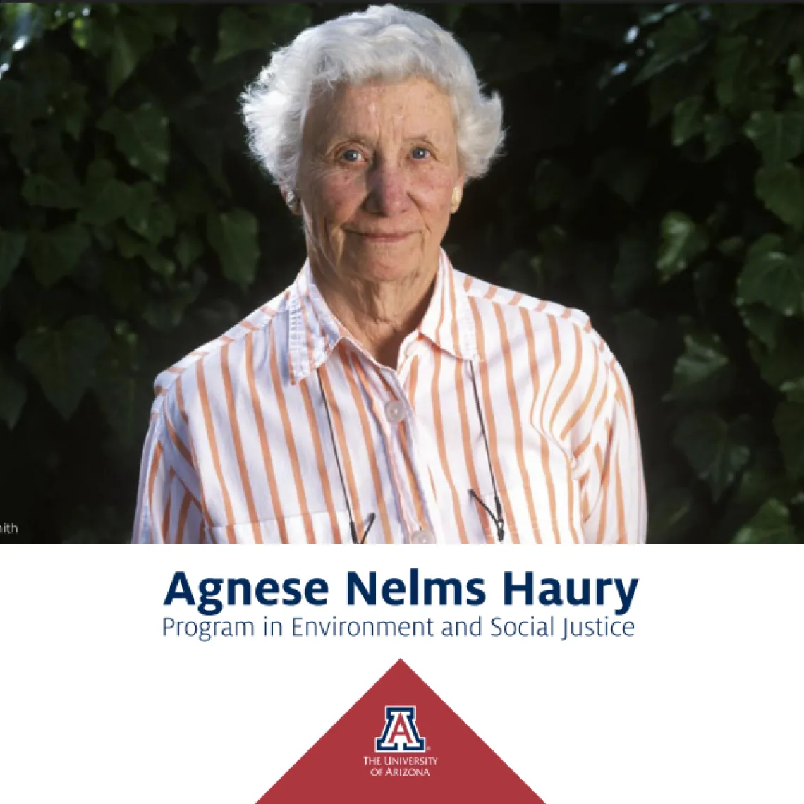Agnese Nelms Haury Program Agnese Nelms Haury Program