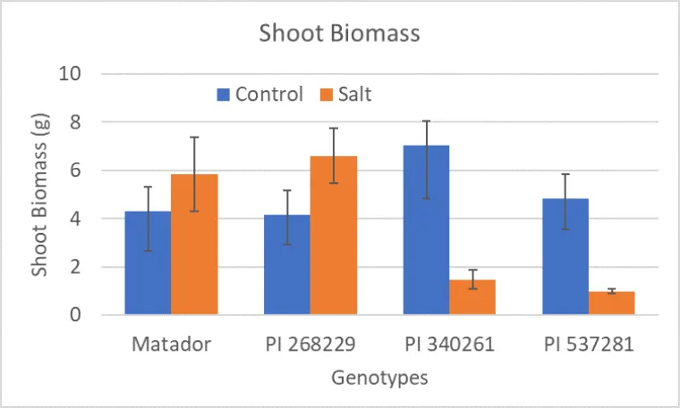 Comparison of shoot biomass of different guar genotypes under control and high salinity conditions Comparison of shoot biomass of different guar genotypes under control and high salinity conditions
