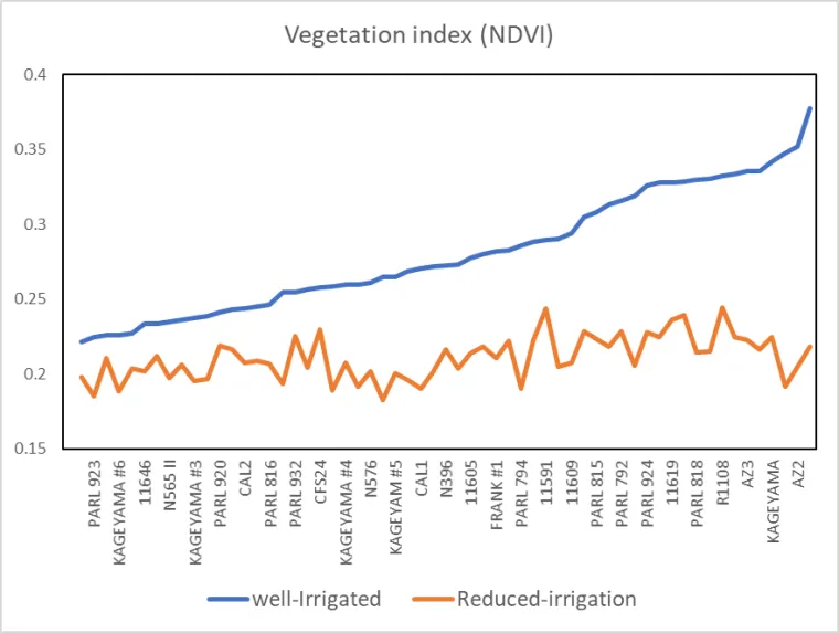 Normalized Difference Vegetation Index (NDVI) for guayule accessions under well-irrigated (blue line) and reduced irrigation (red line) at the Maricopa Agricultural Center, Arizona Normalized Difference Vegetation Index (NDVI) for guayule accessions under well-irrigated (blue line) and reduced irrigation (red line) at the Maricopa Agricultural Center, Arizona