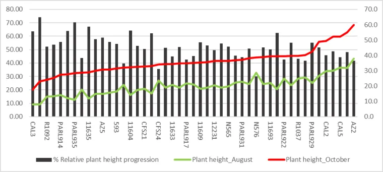 Phenotypic variations in plant height, within the USDA guayule accessions Phenotypic variations in plant height, within the USDA guayule accessions