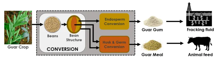 Guar gum conversion chain Guar gum conversion chain