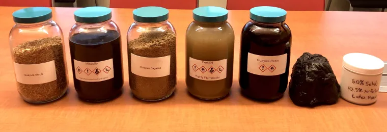 Bridgestone Biorubber Process Research Center guayule processing stages (L-R): raw feedstock, miscella (a solvent mixture), begasse, rubber cement, guayule resin, rubber, and latex Bridgestone Biorubber Process Research Center guayule processing stages (L-R): raw feedstock, miscella (a solvent mixture), begasse, rubber cement, guayule resin, rubber, and latex