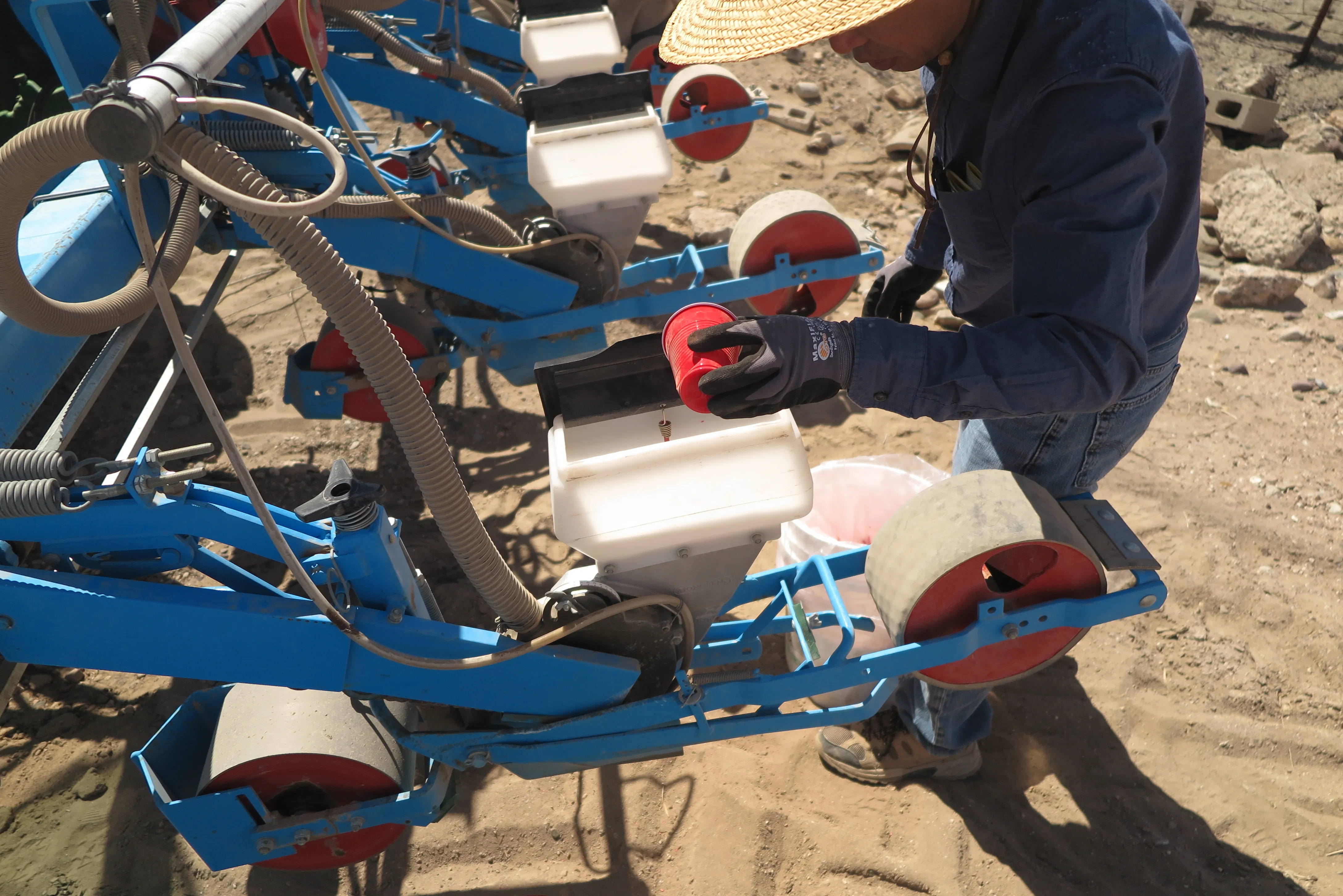 Loading guayule seeds into the vacuum planter Loading guayule seeds into the vacuum planter