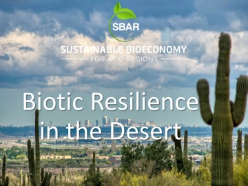 Biotic Resilience in the Desert Title Slide Biotic Resilience in the Desert Title Slide