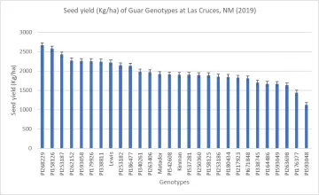 Guar genotype seed yield at Fabian Garcia Plant Science Center, Las Cruces, NM (2019) Guar genotype seed yield at Fabian Garcia Plant Science Center, Las Cruces, NM (2019)