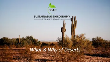 What and Why of Deserts lesson plan What and Why of Deserts lesson plan