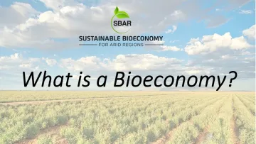 "What Is Bioeconomy?" title slide "What Is Bioeconomy?" title slide