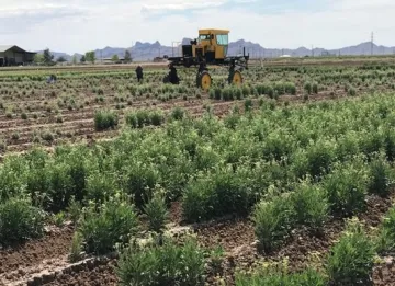 Tractor equipped with high throughput sensors Tractor equipped with high throughput sensors